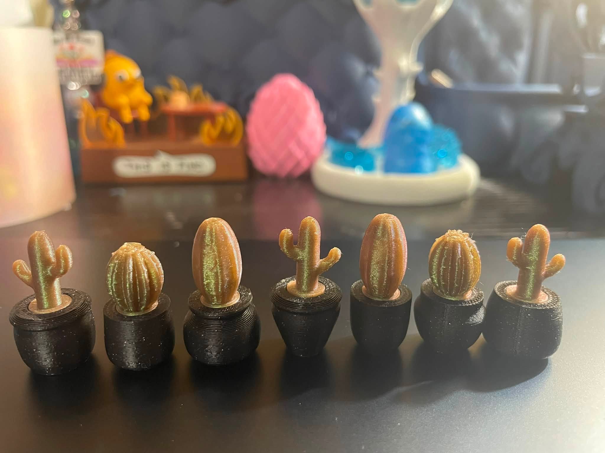 Desert Oasis Complete Set — Wicker/Rattan Bookshelf + Accessories
